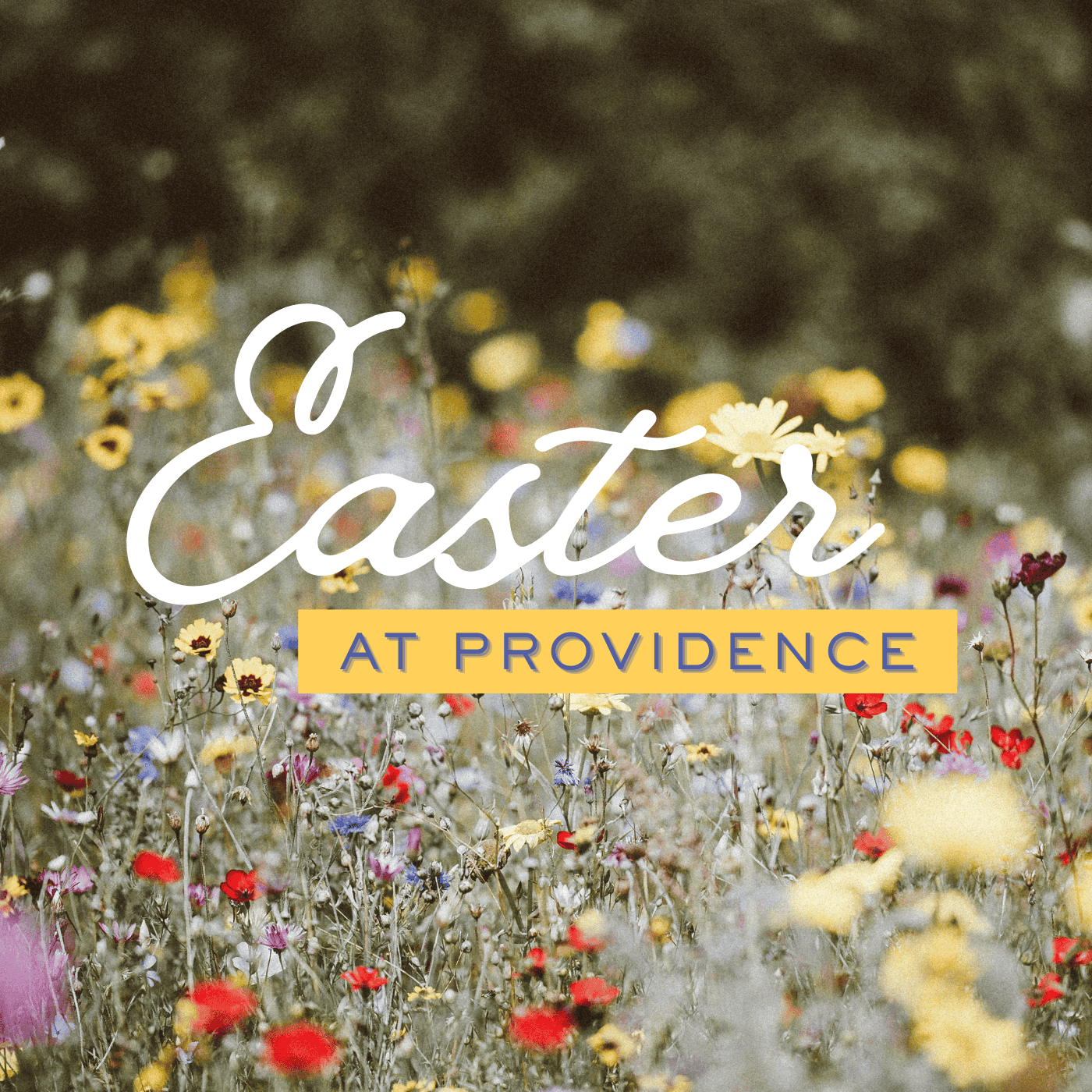 Resurrection Life in an Artificial Age - Easter 2026 episode artwork